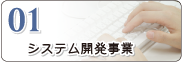 システム開発事業